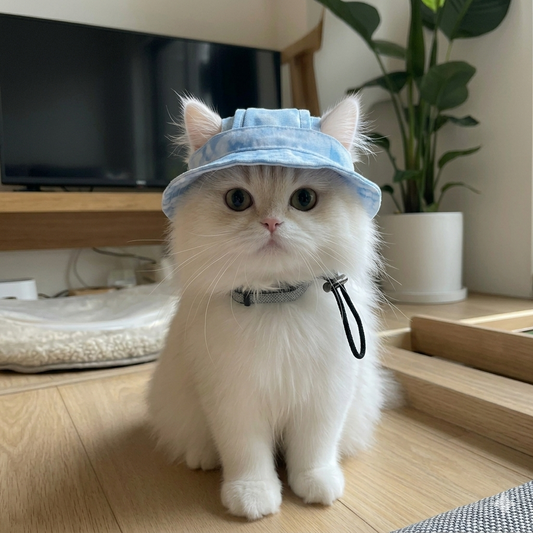 🐱🌞 Protect Your Cat from the Sun in the Cutest Way Possible! ☀️