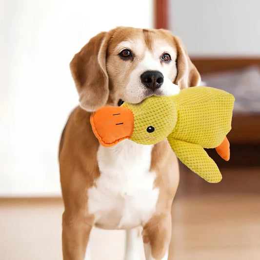 The #1 Anxiety Relief Toy for Dogs