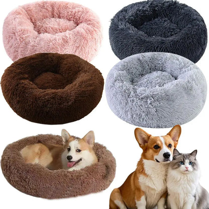 Donut🍩Pet Bed 🐶🐱