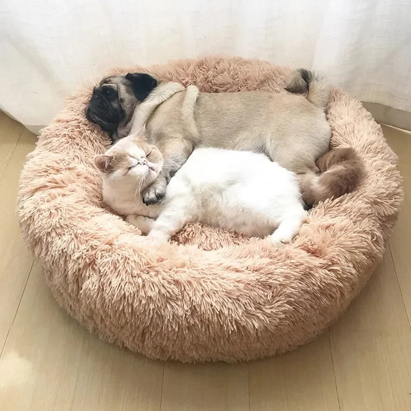 Donut🍩Pet Bed 🐶🐱