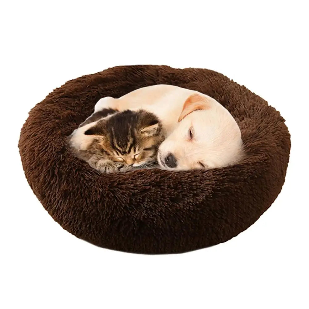 Donut🍩Pet Bed 🐶🐱