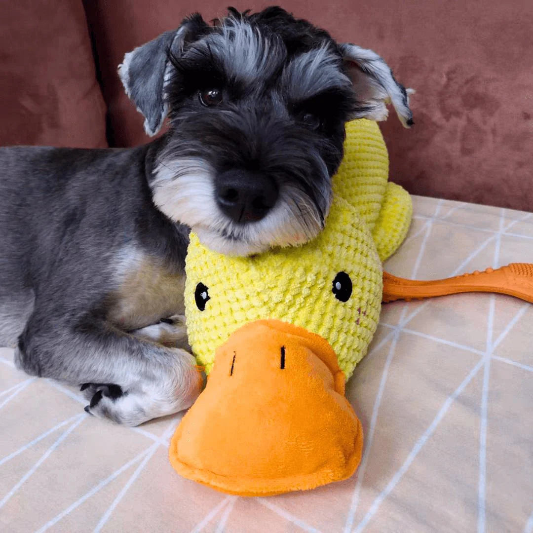 The #1  Anxiety Relief Toy for Dogs